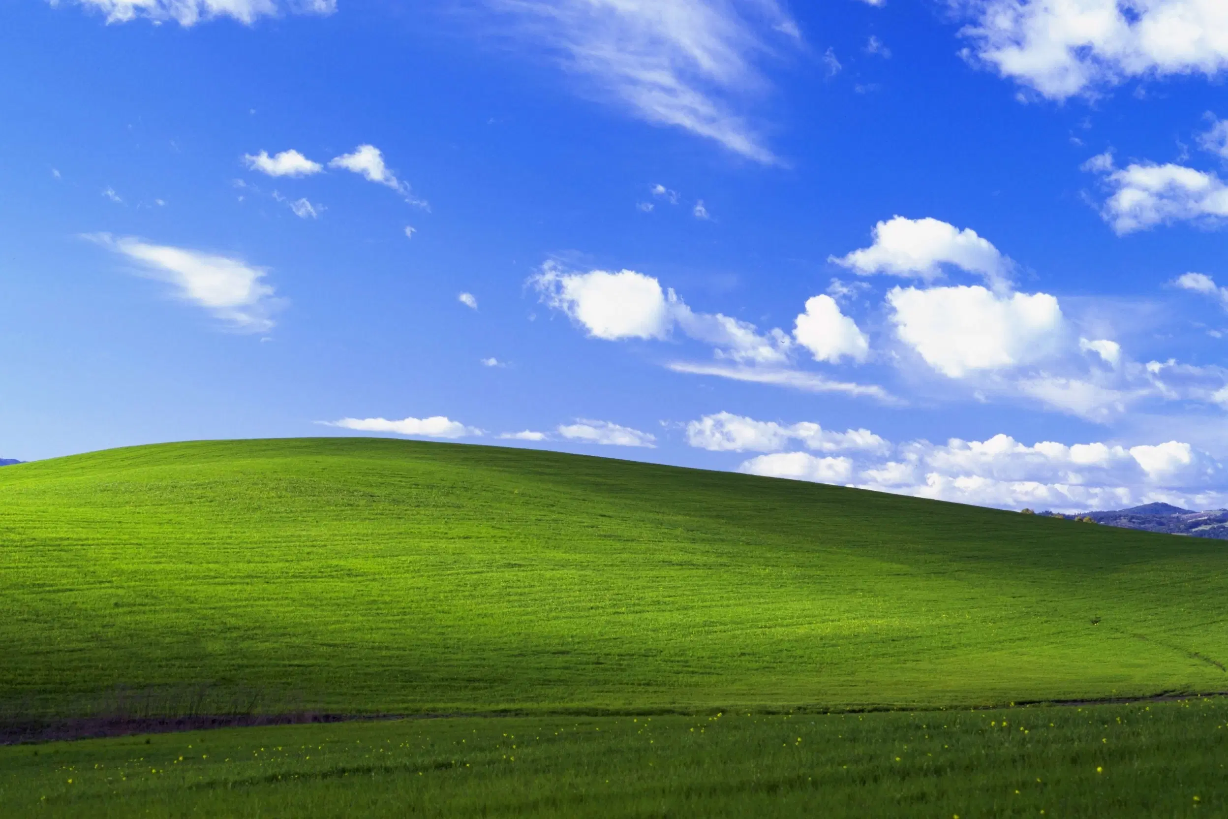 Wallpaper